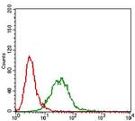 CTNNBL1 Antibody in Flow Cytometry (Flow)