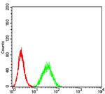 DDX1 Antibody in Flow Cytometry (Flow)