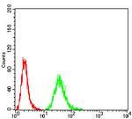 Gemin 3 Antibody in Flow Cytometry (Flow)