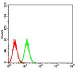 RIG-I Antibody in Flow Cytometry (Flow)