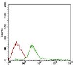 DIS3L2 Antibody in Flow Cytometry (Flow)