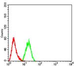 DNMT3L Antibody in Flow Cytometry (Flow)