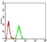 DAB2 Antibody in Flow Cytometry (Flow)