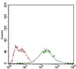 EIF2A Antibody in Flow Cytometry (Flow)