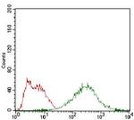 EIF2A Antibody in Flow Cytometry (Flow)