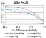 GLRA1 Antibody in ELISA (ELISA)