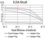 GluR6 Antibody in ELISA (ELISA)