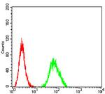 GRIK4 Antibody in Flow Cytometry (Flow)