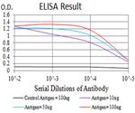 mGluR6 Antibody in ELISA (ELISA)