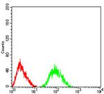 mGluR7 Antibody in Flow Cytometry (Flow)