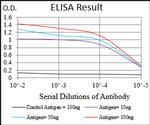 HH3 Antibody in ELISA (ELISA)