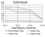 H4K20me1 Antibody in ELISA (ELISA)