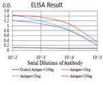 H4K20me1 Antibody in ELISA (ELISA)