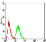 HOXA9 Antibody in Flow Cytometry (Flow)