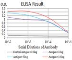 HTR3A Antibody in ELISA (ELISA)