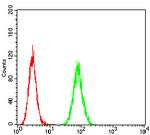 HTR3A Antibody in Flow Cytometry (Flow)