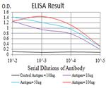 HTR3B Antibody in ELISA (ELISA)