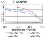 IGHA1 Antibody in ELISA (ELISA)