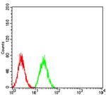 IGHA1 Antibody in Flow Cytometry (Flow)