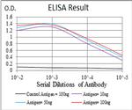 KV4.2 (KCND2) Antibody in ELISA (ELISA)