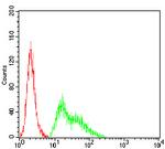 KV4.2 (KCND2) Antibody in Flow Cytometry (Flow)