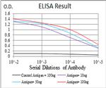 KV4.2 (KCND2) Antibody in ELISA (ELISA)