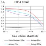 KIR3DL1 Antibody in ELISA (ELISA)