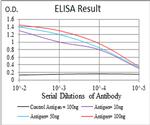 LHR Antibody in ELISA (ELISA)