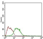 Myostatin Antibody in Flow Cytometry (Flow)