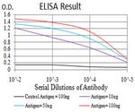 OTUD4 Antibody in ELISA (ELISA)