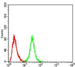 OTUD4 Antibody in Flow Cytometry (Flow)