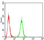 P2X7 Antibody in Flow Cytometry (Flow)