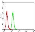 P2Y1 Antibody in Flow Cytometry (Flow)