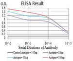 Phospho-4EBP1 (Ser65) Antibody in ELISA (ELISA)