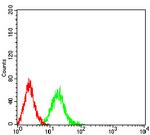 Phospho-4EBP1 (Ser65) Antibody in Flow Cytometry (Flow)