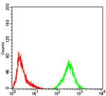 Phospho-Estrogen Receptor alpha (Tyr537) Antibody in Flow Cytometry (Flow)