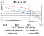 Phospho-NLRC4 (Ser533) Antibody in ELISA (ELISA)