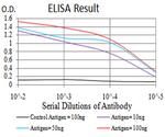 Phospho-NLRC4 (Ser533) Antibody in ELISA (ELISA)