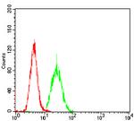 PKHD1 Antibody in Flow Cytometry (Flow)