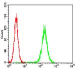 PKN1 Antibody in Flow Cytometry (Flow)