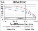 PLA2G12A Antibody in ELISA (ELISA)