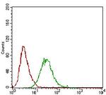 PLA2G12A Antibody in Flow Cytometry (Flow)