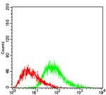 PPARGC1B Antibody in Flow Cytometry (Flow)