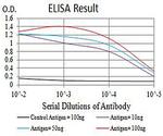 AMPK beta-2 Antibody in ELISA (ELISA)