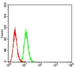 AMPK beta-2 Antibody in Flow Cytometry (Flow)