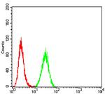 AMPK beta-2 Antibody in Flow Cytometry (Flow)