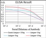 AMPK gamma-1 Antibody in ELISA (ELISA)