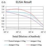 PTPRD Antibody in ELISA (ELISA)