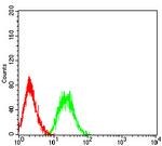 PTPRD Antibody in Flow Cytometry (Flow)