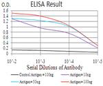 RAB11FIP1 Antibody in ELISA (ELISA)